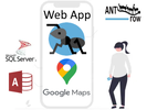 Hvad er Google Map API
